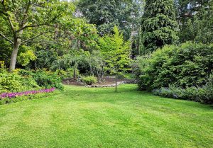 Optimiser l'expérience du jardin à Le Plessier-sur-Saint-Just